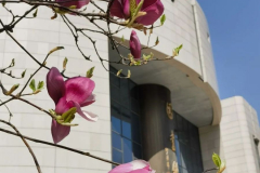 西北工业大学  刘先生作品