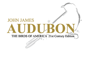 hahabet星辰大海-官网登录入口