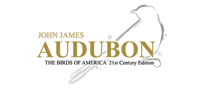 hahabet星辰大海-官网登录入口