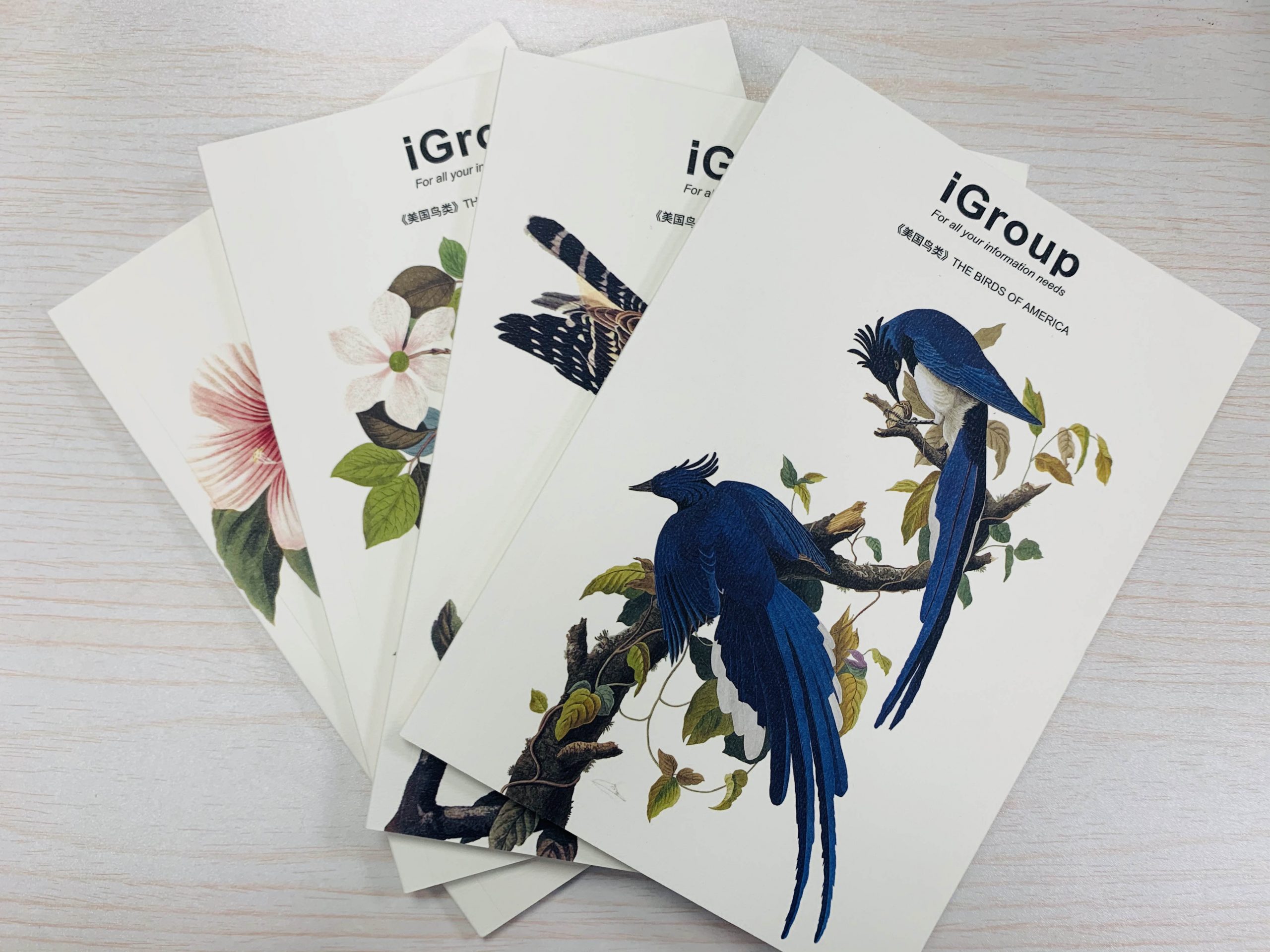 hahabet星辰大海-官网登录入口