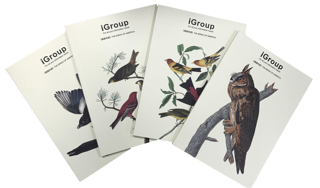 hahabet星辰大海-官网登录入口