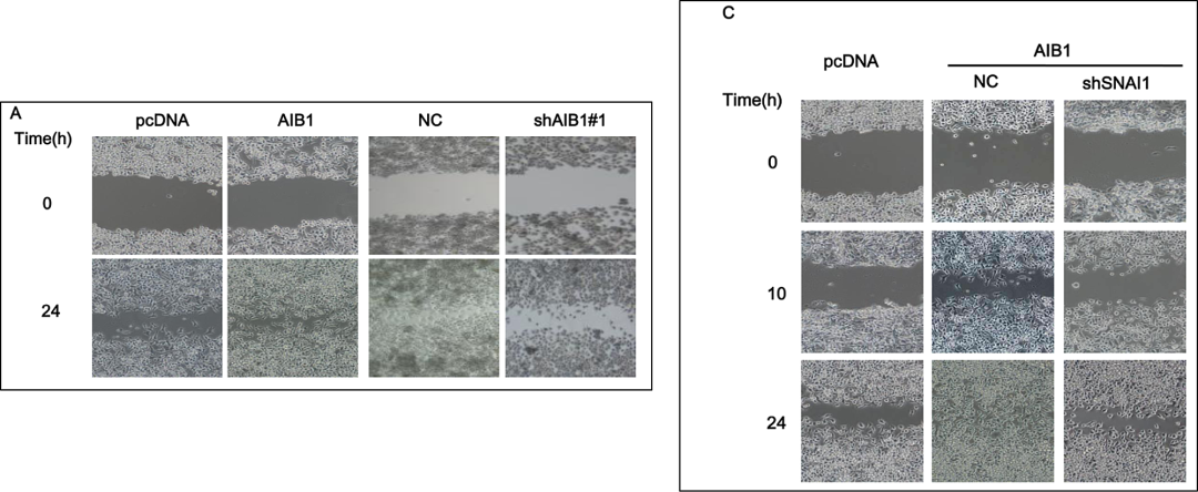 hahabet星辰大海-官网登录入口