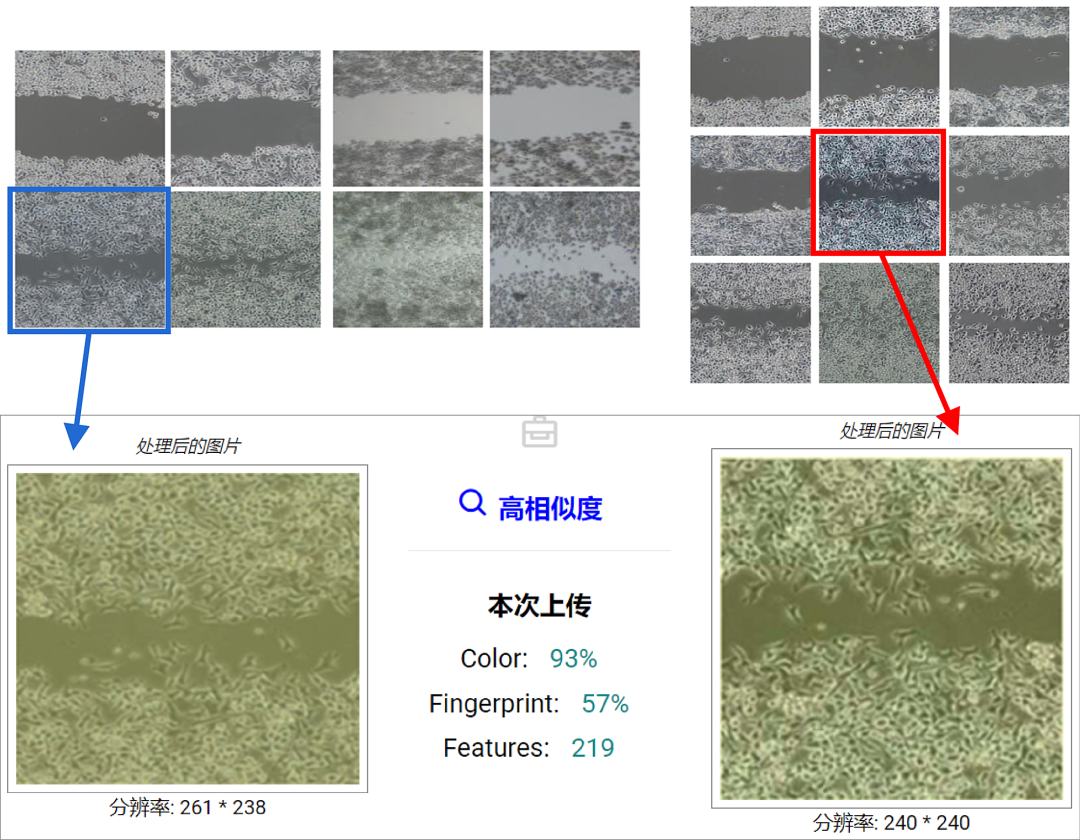 hahabet星辰大海-官网登录入口