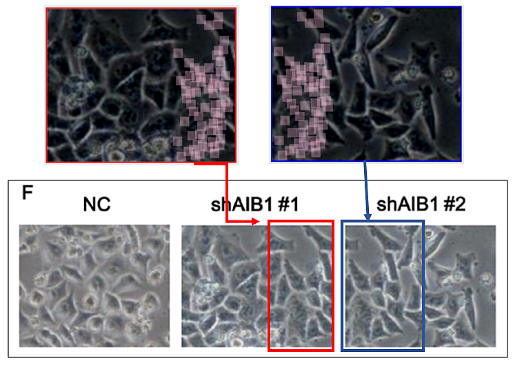 hahabet星辰大海-官网登录入口