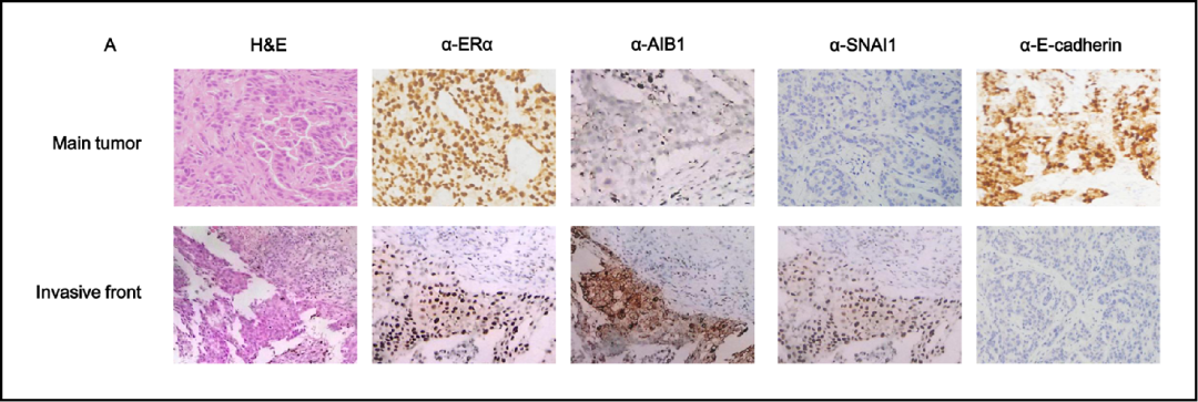 hahabet星辰大海-官网登录入口