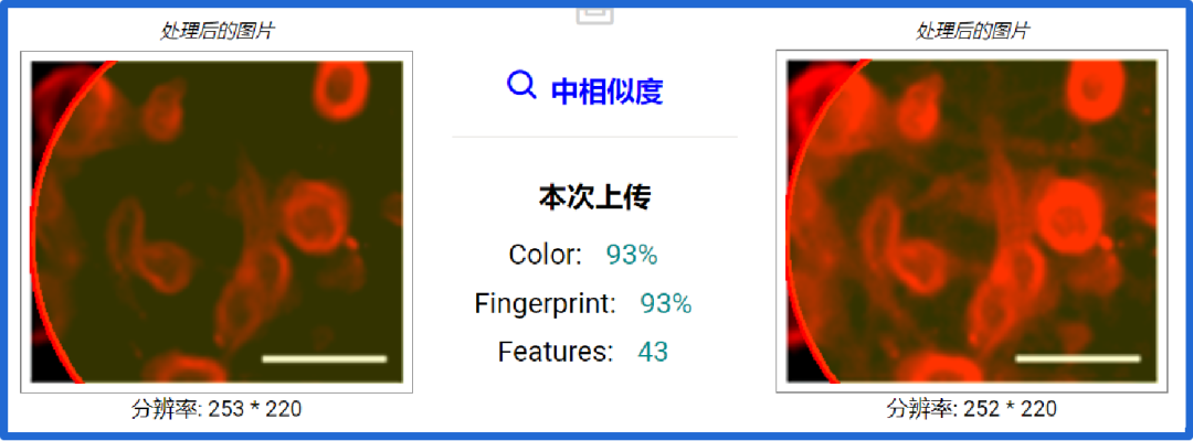 hahabet星辰大海-官网登录入口