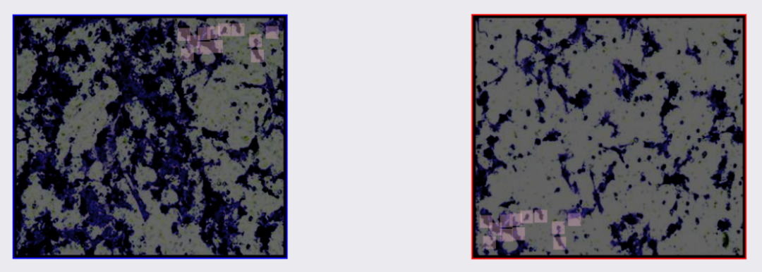 hahabet星辰大海-官网登录入口