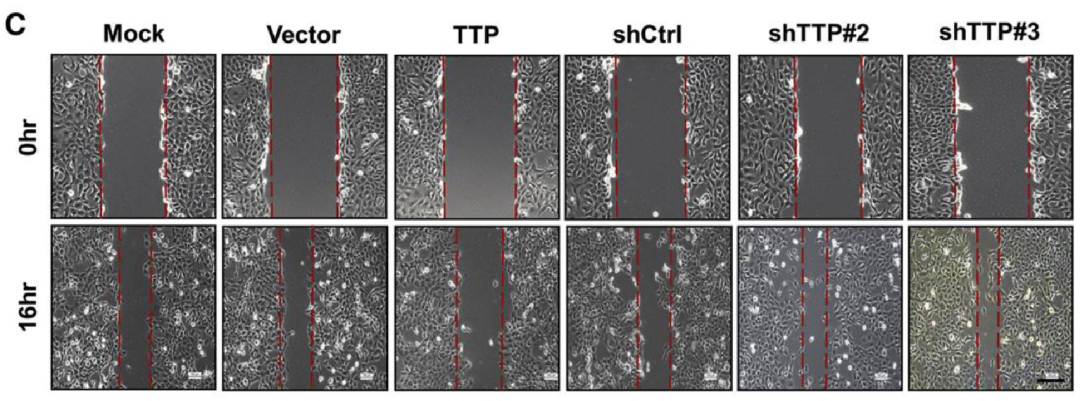 hahabet星辰大海-官网登录入口