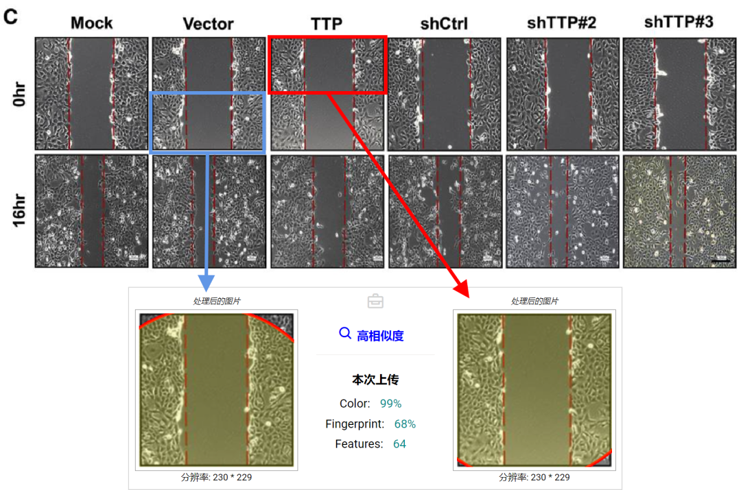 hahabet星辰大海-官网登录入口