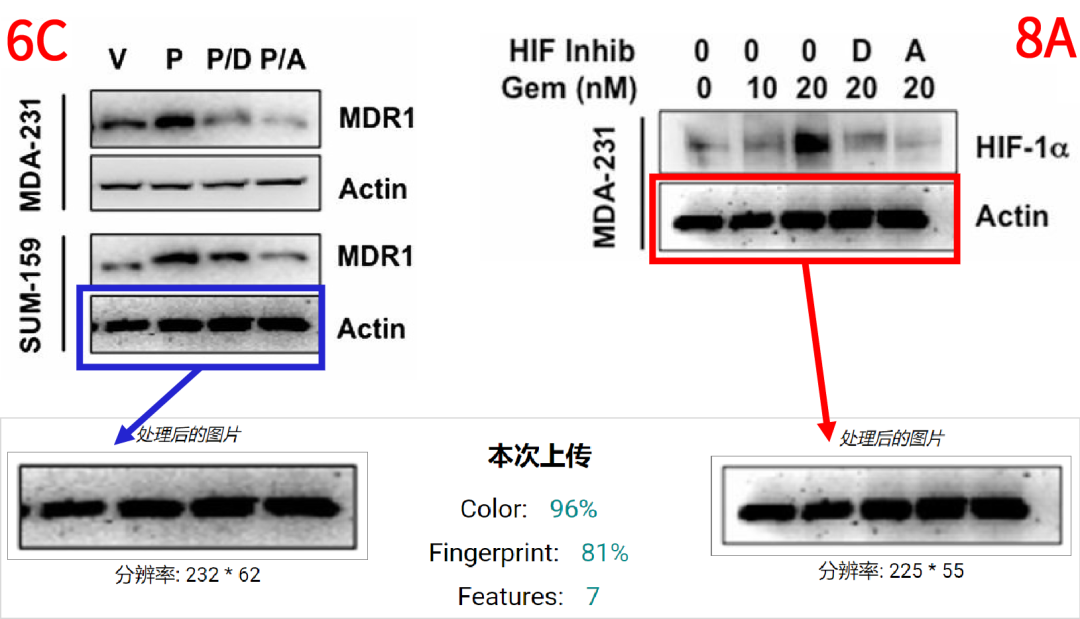 hahabet星辰大海-官网登录入口