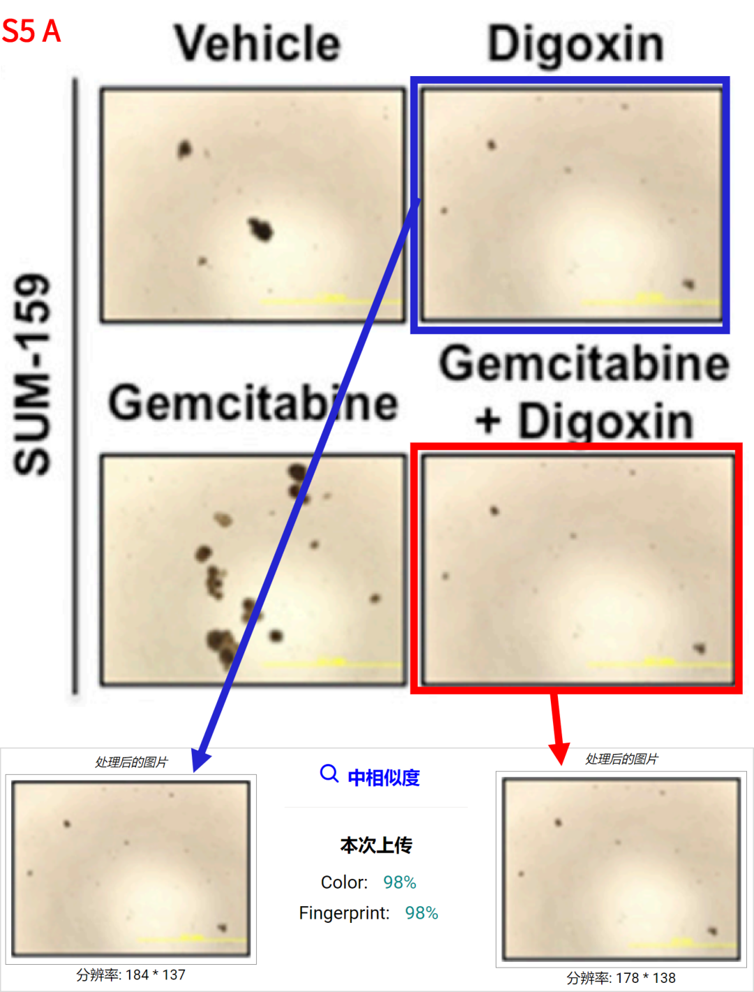 hahabet星辰大海-官网登录入口