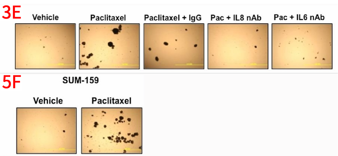 hahabet星辰大海-官网登录入口