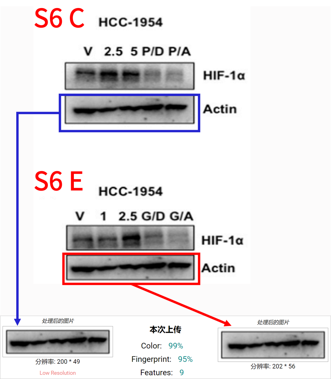 hahabet星辰大海-官网登录入口