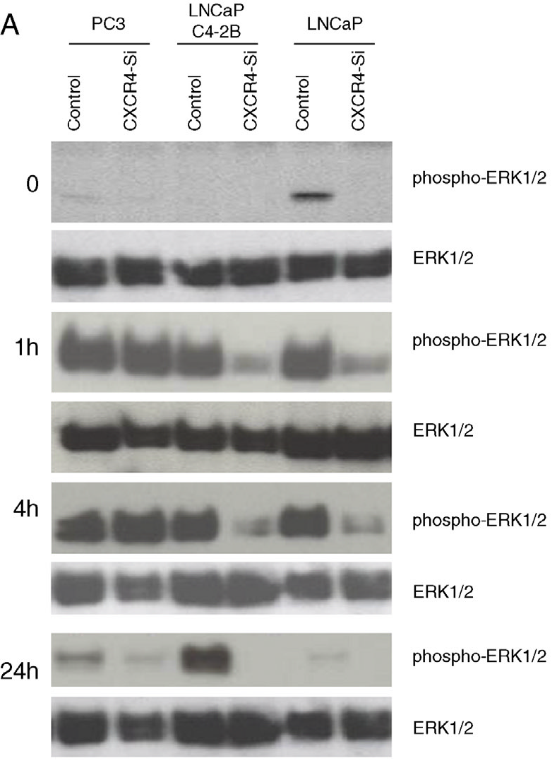 hahabet星辰大海-官网登录入口