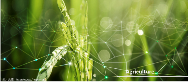 hahabet星辰大海-官网登录入口