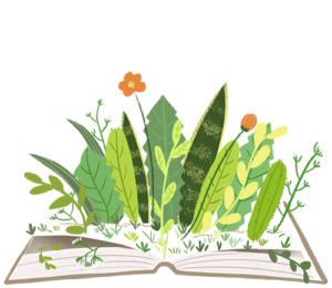 hahabet星辰大海-官网登录入口