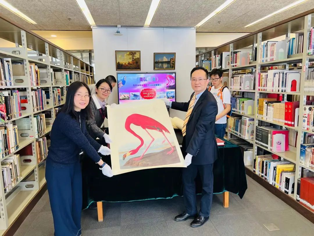 hahabet星辰大海-官网登录入口