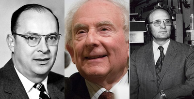 hahabet星辰大海-官网登录入口