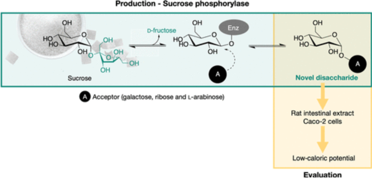 hahabet星辰大海-官网登录入口