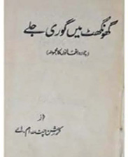 hahabet星辰大海-官网登录入口