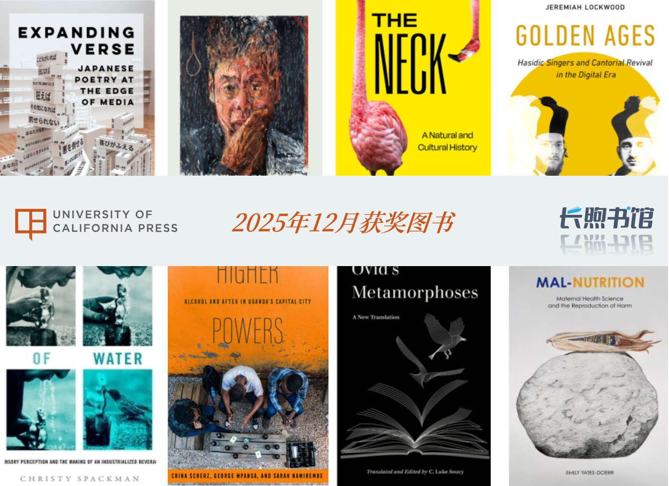 hahabet�ǳ���-������¼���